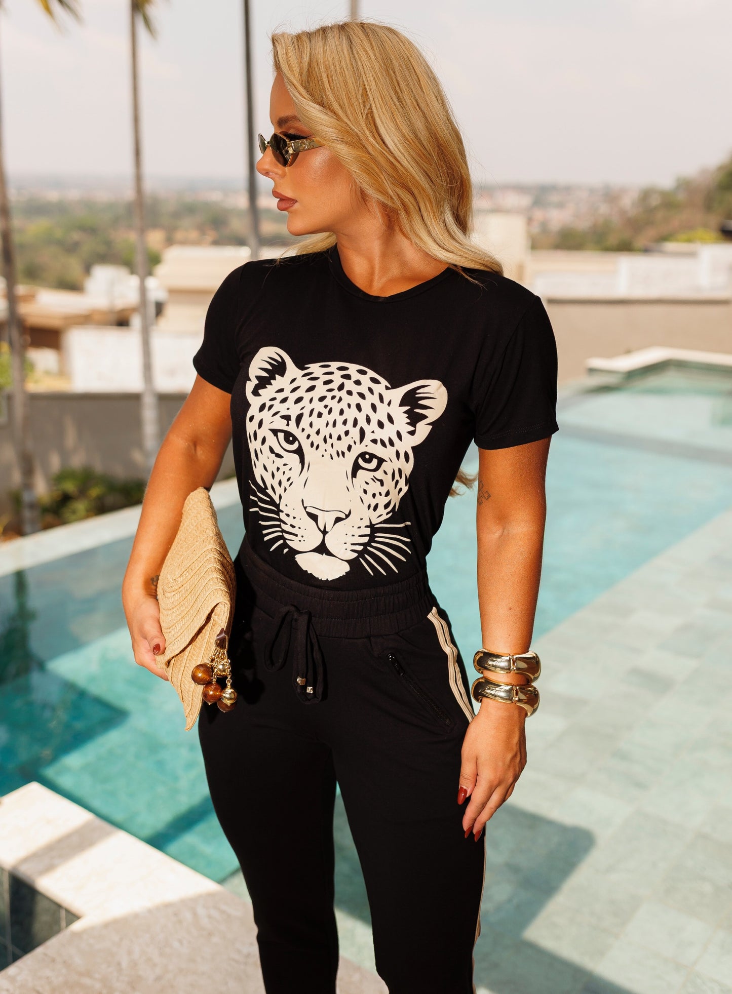Conjunto Tigre